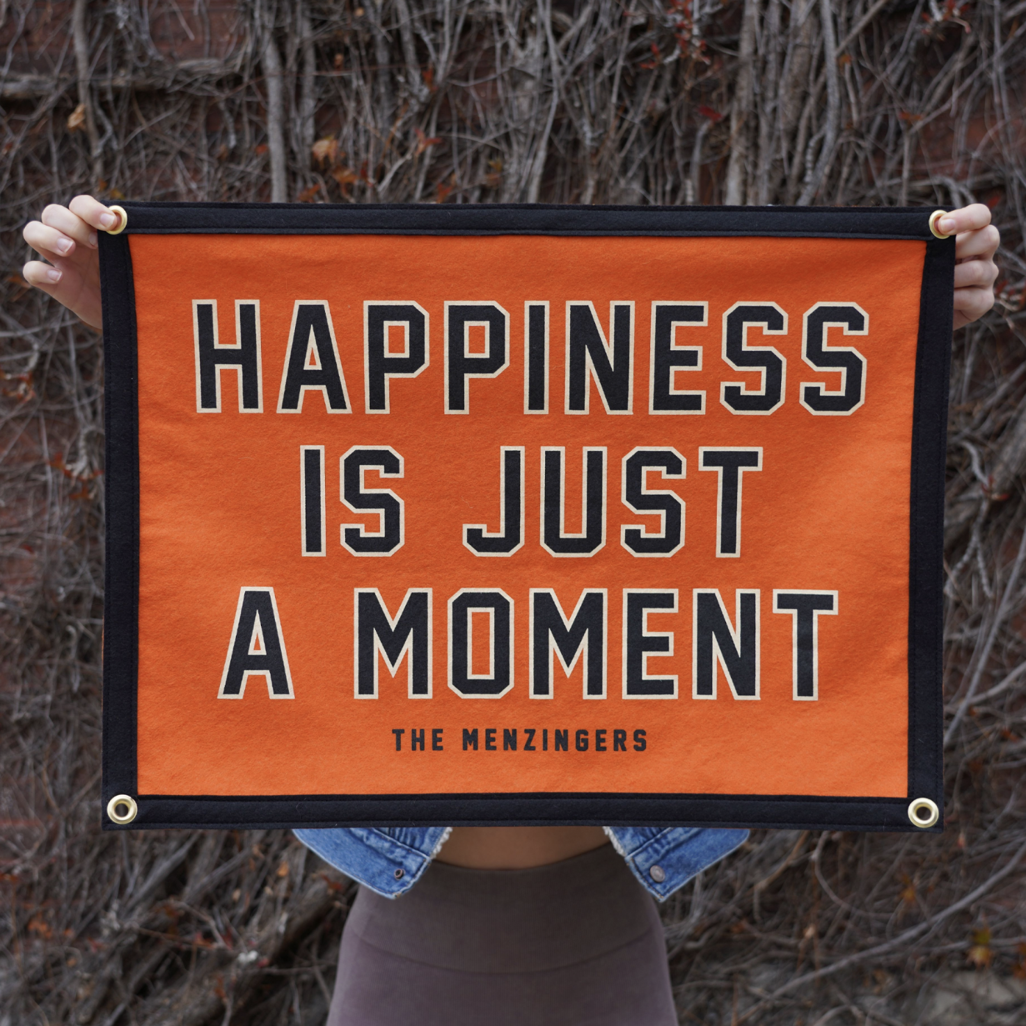 8cfcd1d8e06d56ad5cb7996be830113e